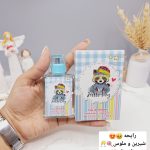 عطر شاد و جذاب روباه برند LADY LADY IDEA کد LD9105